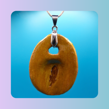 Devant du Petit Lien (modèle n°2)