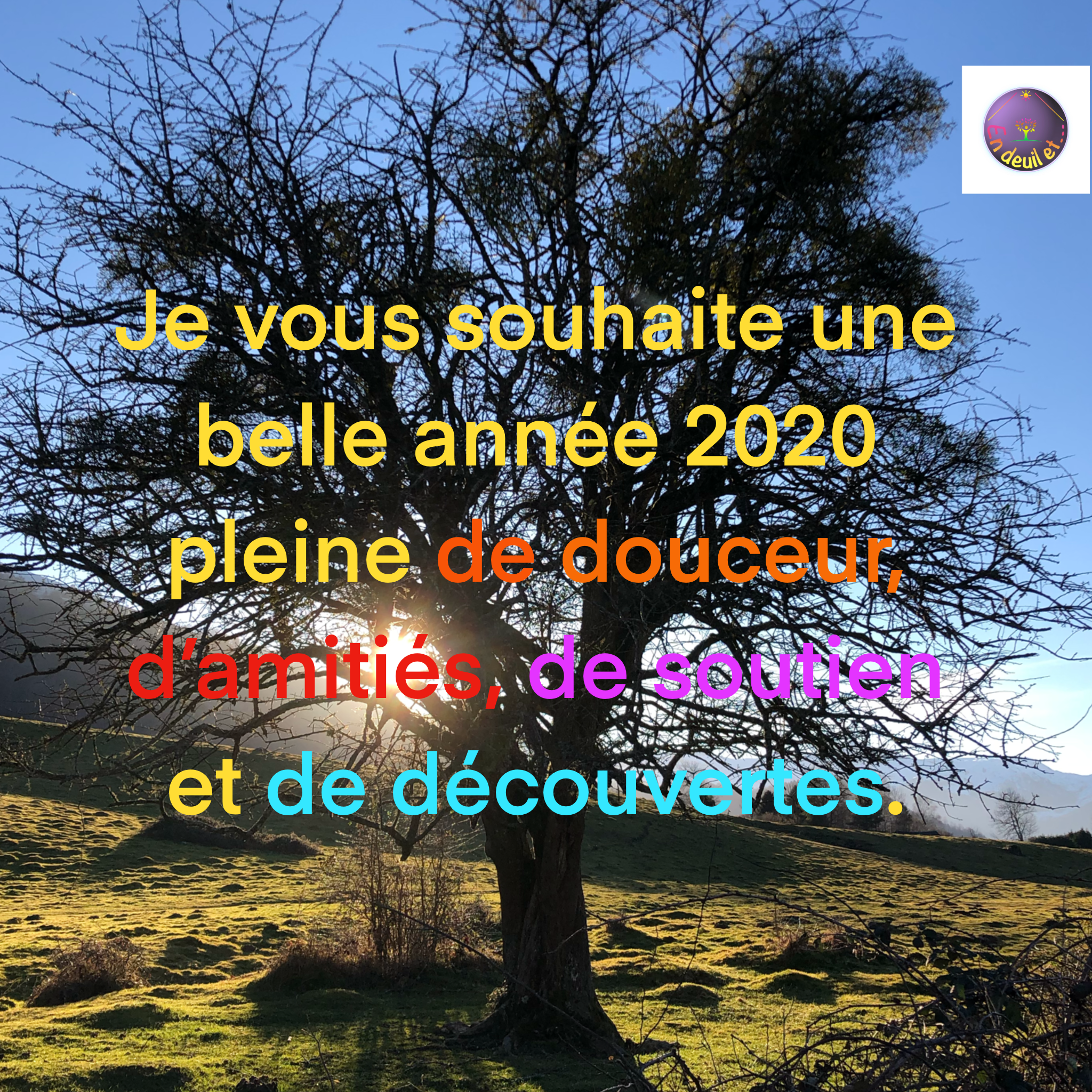 Vœux pour l'année 2020 - En deuil et