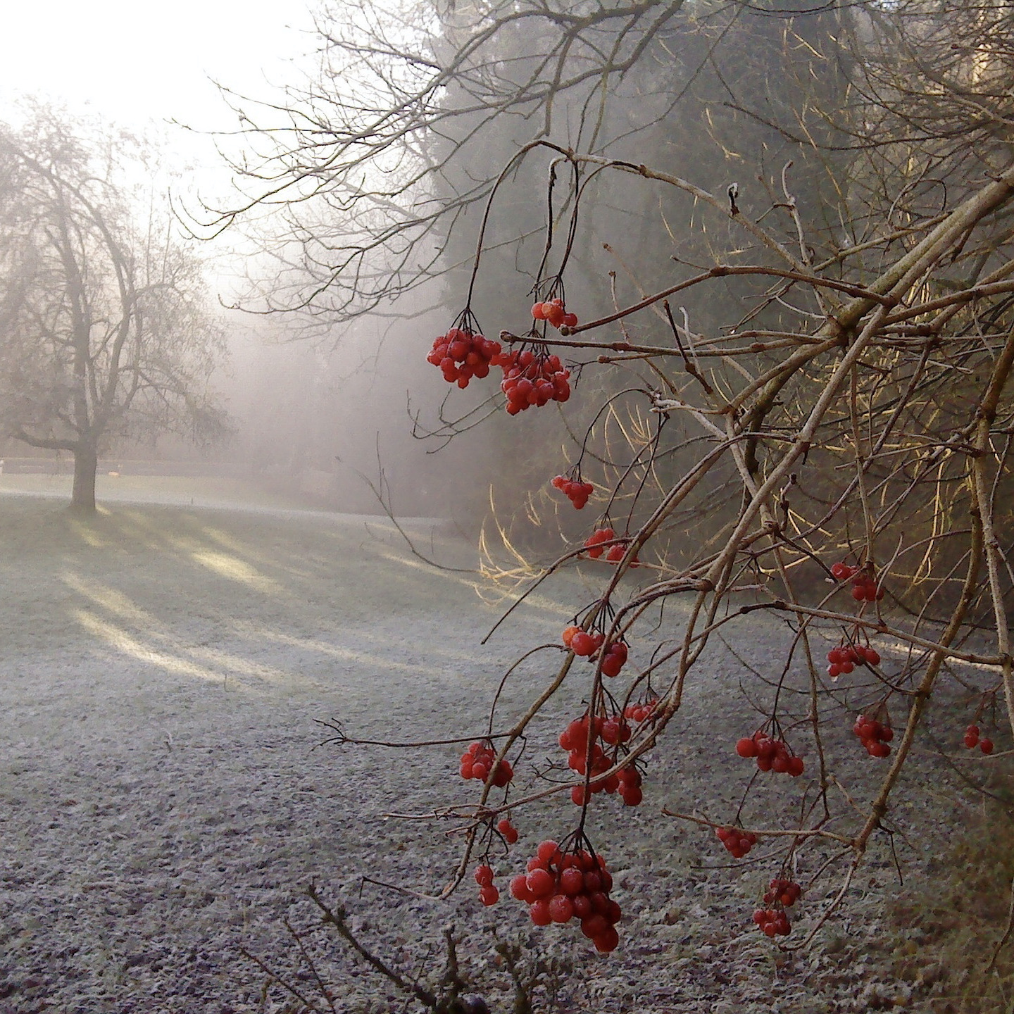 Que dire à mon enfant après la mort de sa mère ?