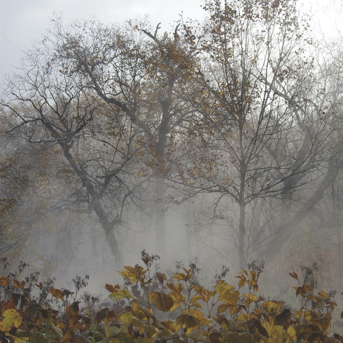 J'ai du mal à réaliser que mon ami est mort. Suis-je normal ?